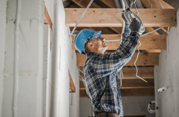 Best Electrical Upgrades for Homes  in Topaz Ranch Estates, NV